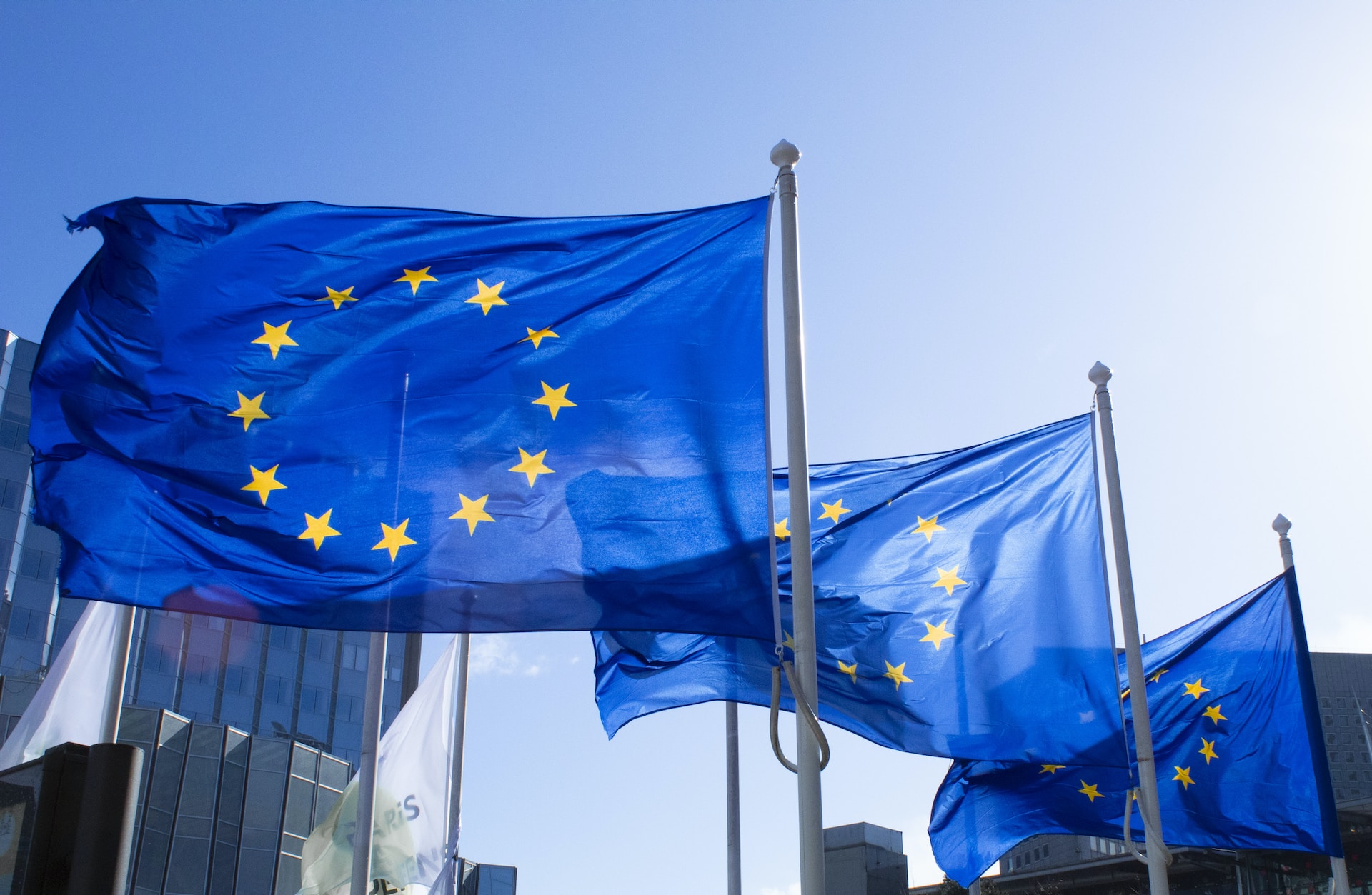 European Union Flags